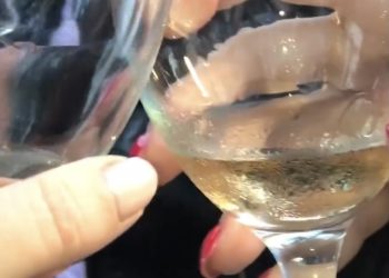 Prvi festival vina u Kraljevu (VIDEO)