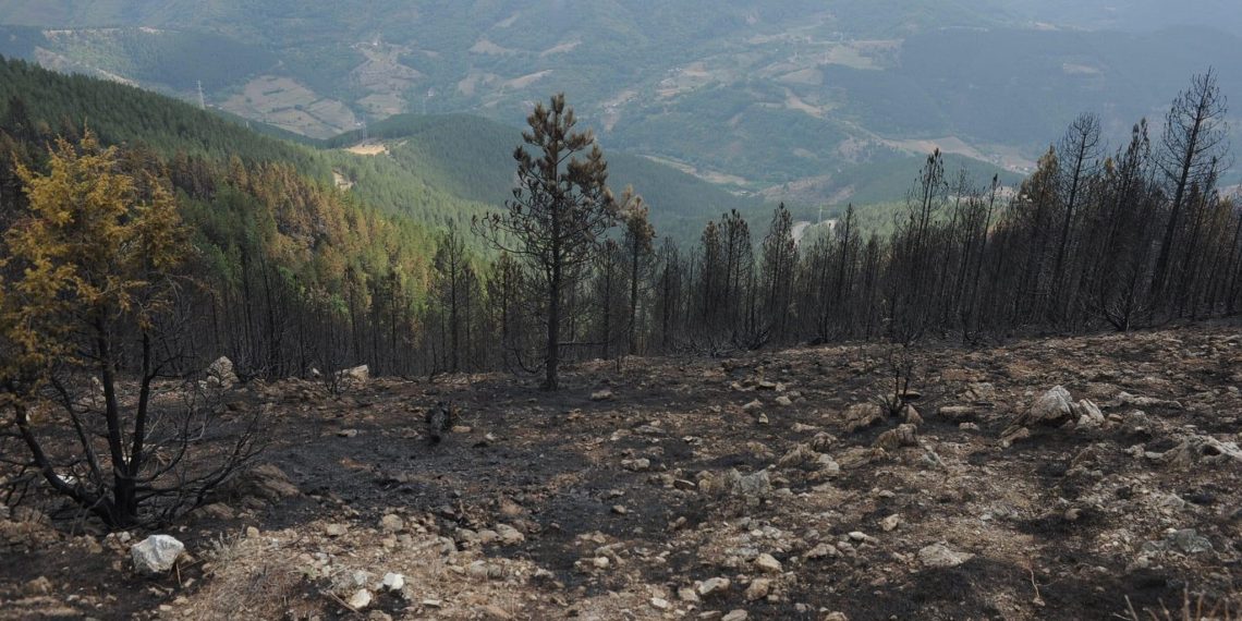Na Žaračkim planinama lokalizovan požar, na Troglavu još uvek gori