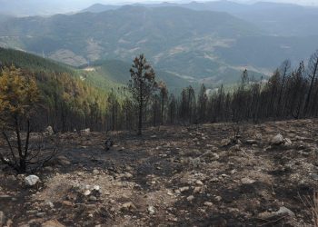 Na Žaračkim planinama lokalizovan požar, na Troglavu još uvek gori