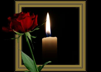 U Srbiji sutra Dan žalosti zbog tragedije u Novom Sadu