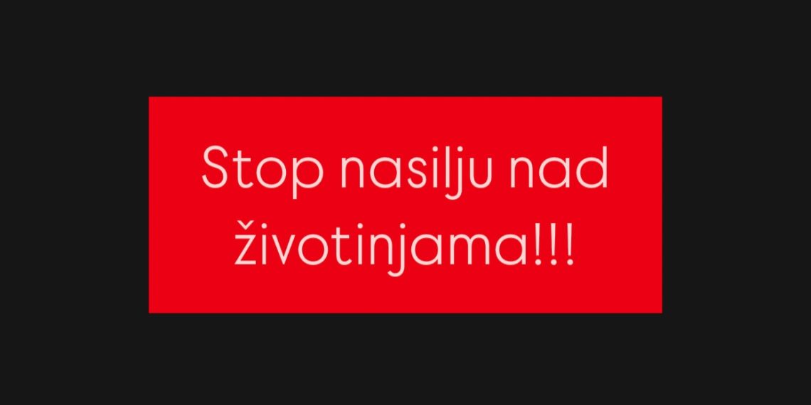 U Kraljevu ubijen pas na ulici