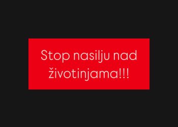 U Kraljevu ubijen pas na ulici