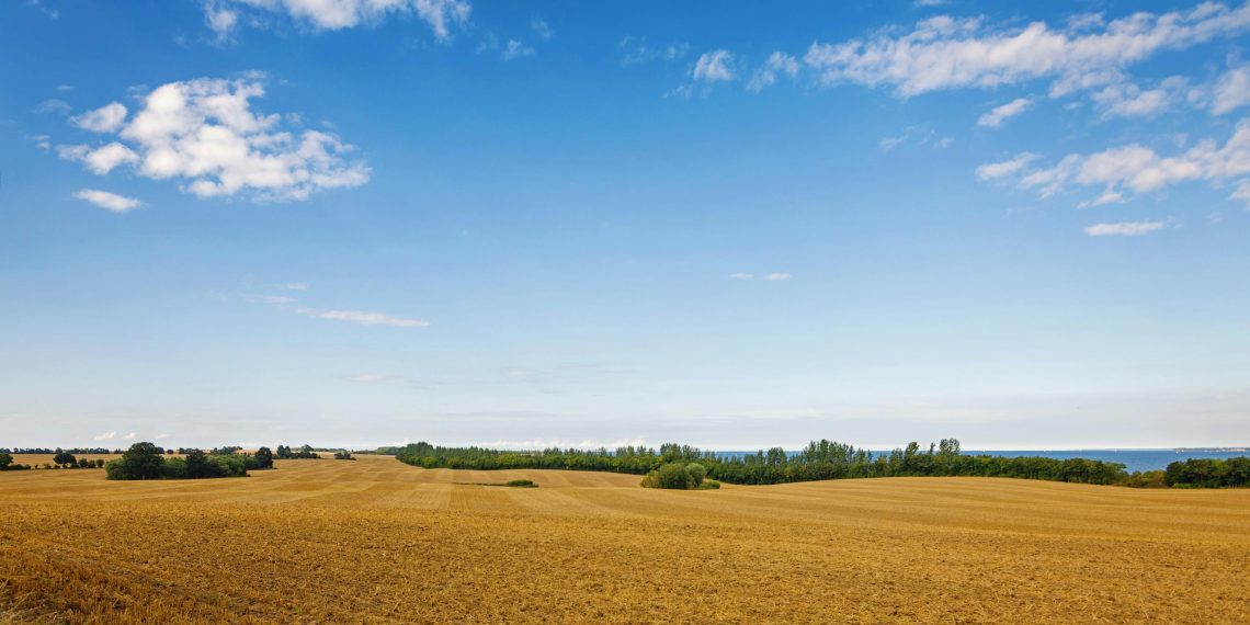 Projekat komasacije u katastarskim opštinama Bukovica i Vrdila