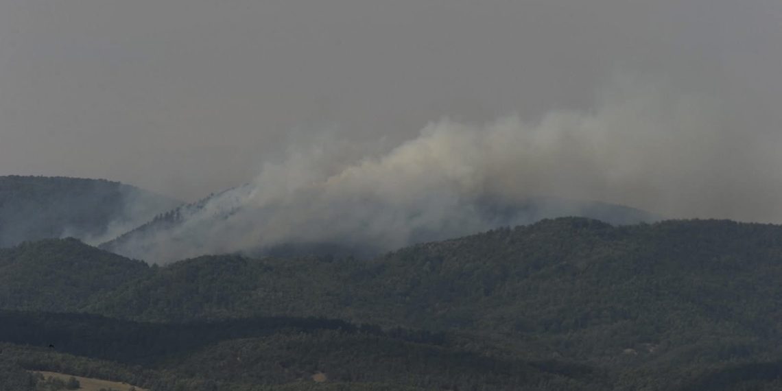 U Kraljevu devet aktivnih požara – Svi raspoloživi resursi angažovani na gašenju