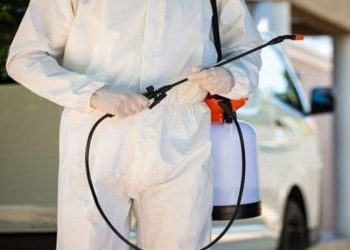 Od ponedeljka sistemska deratizacija u Kraljevu – Ne propustite važna uputstva