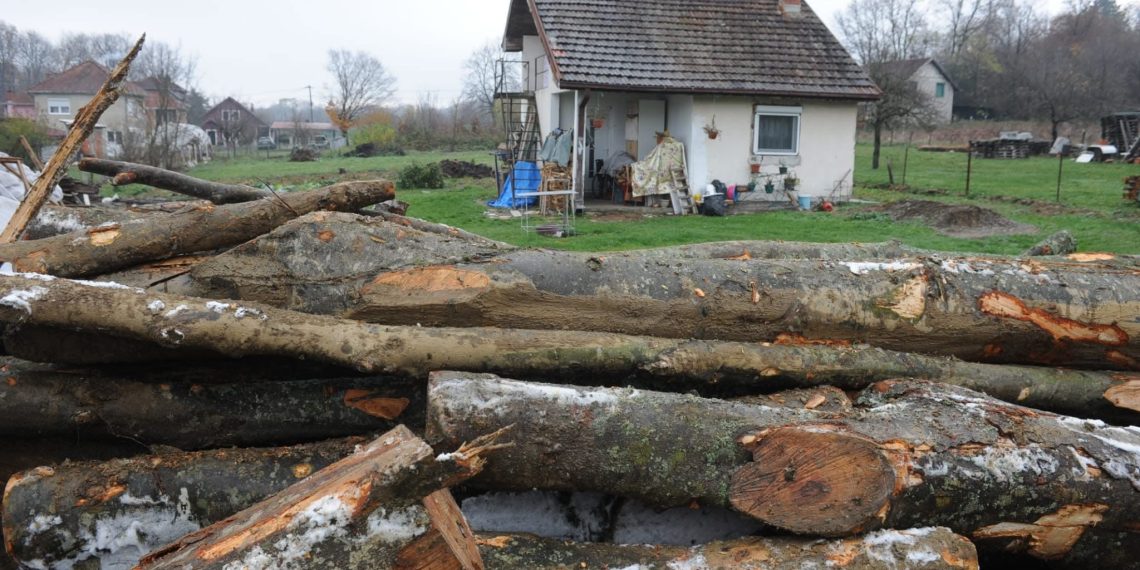 Pomoć najugroženijima: Kraljevčani dobijaju subvencionisana i besplatna drva za ogrev