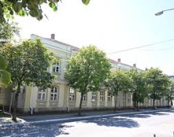 Oglasilo se Više javno tužilaštvo u Kraljevu o smrti S.Đ. (18)